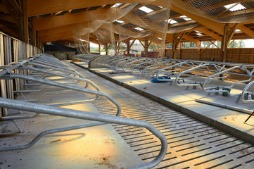 Construction d'un batiment agricole à ossature bois. Filets de protection contre les chutes de toit. Stabulation, logettes en acier zingué