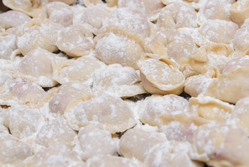 Fototapeta na wymiar Dumplings, cooked at home, lie on a plate, sprinkled with flour.