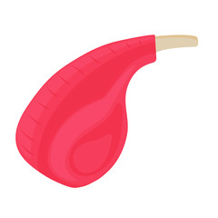 Fresh crude pork meat steak vector isolated on white background