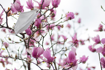 桜に絡まったマスク02