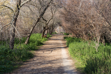 Senderos de las lagunas en Velilla de San Antonio