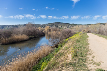 Rio Jarama a su paso por Velilla de San Antonio