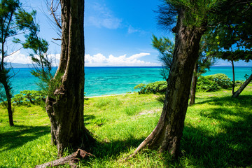 沖縄のエメラルドグリーンの海