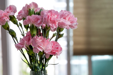 Pink carnations 