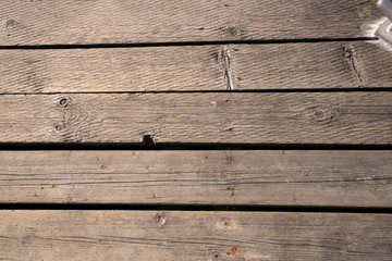 Outdoor Hard Wood Floor in the Sun