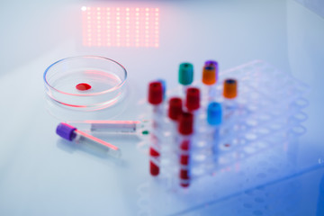 A medical professional, laboratory assistant, doctor performs an analysis in a laboratory, uses test tubes, a pipette and a petri dish for the presence of bacteria in the human body