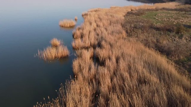 Aerial view flying over coastline, above the reeds and water. Copter moving forwards. Khadzhibey Estuary, Odessa region, Ukraine
