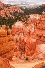 The Hoodoo rock  spires and evergreen trees of Bryce Canyon