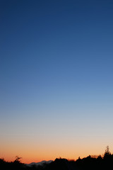 森越しに見る美しい夕焼けの風景