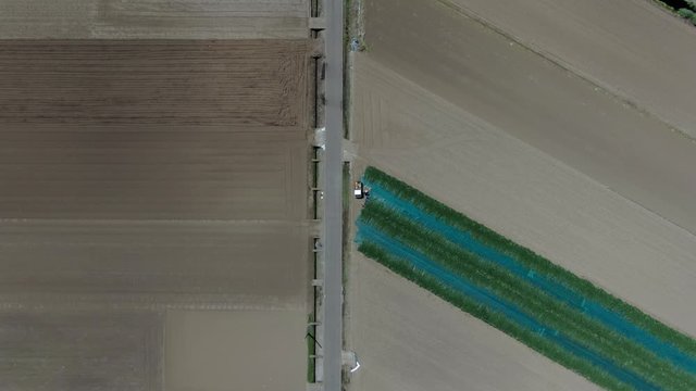 this is a footage of farm shot by dji drone in a sunny day in japan
