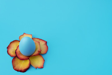 Blue Easter egg stands in yellow flower made of rose petals on blue background. Happy Easter holiday concept. Greeting card. Flat lay style with copy space for your text.
