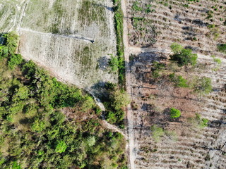 Obraz premium Aerial photography drone countryside agriculture and forest 