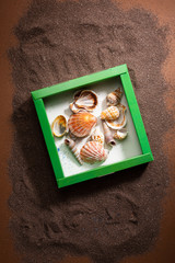Various seashells in box on brown sand