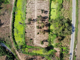 Aerial photography drone countryside agriculture and forest 