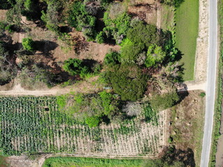 Aerial photography drone countryside agriculture and forest 