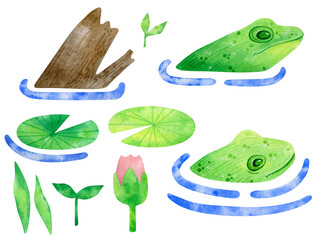 Watercolor set with green frogs in the water. Wild  amphibians, water lily, leaves, tree snag isolated on white.