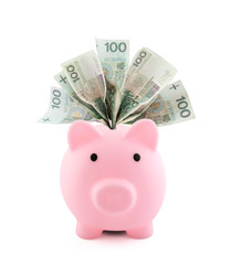 Piggy bank with polish money