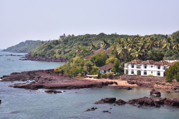 image of the ocean with vast greenery just beside it, in Dona paula