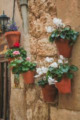 Fototapeta na wymiar house entrance with flower pots on wall in Valldemossa, Mallorca, Spain
