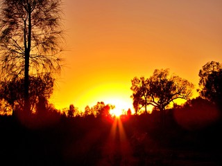 Obraz premium Sonnenaufgang im australischen Outback