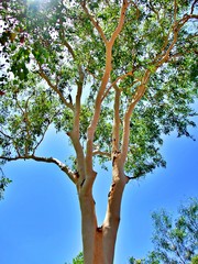 Kakadu National Park