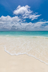 Fototapeta na wymiar Summer beach background. Sand and sea and sky, sunny island shore, seascape