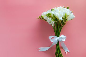 Delicate white freesia bouquet on pink background as spring holiday season symbol concept. Close up shot of fresh flowers with a lot of copy space for text. Minimalistic background.