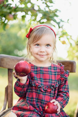 Child picking apples on farm in autumn. Little girl playing in apple tree orchard. Healthy nutrition.