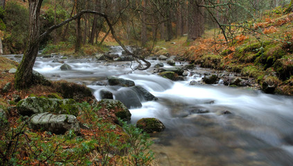 paisajes de otoño