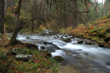 Obraz premium paisajes de otoño
