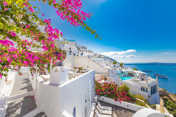 Amazing travel landscape in Santorini, Greece. White architecture with pink flowers under blue sky....