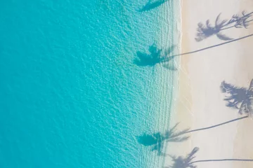 Foto op Plexiglas Aerial beach landscape. Minimalist beach view from drone or airplane, palm shadows in white sand near blue sea with beautiful ripples and waves. Perfect summer beach landscape banner. Exotic blue sea © icemanphotos