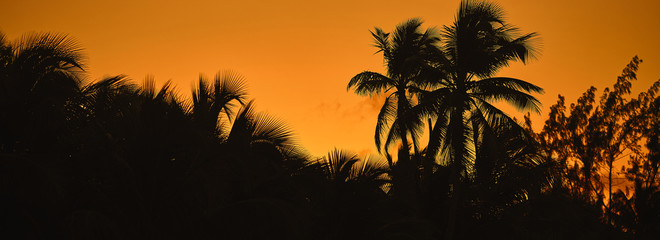 Obraz na płótnie Canvas Panoramic views of the sunset. Sunset on the beach. Paradise beach. Tropical paradise.