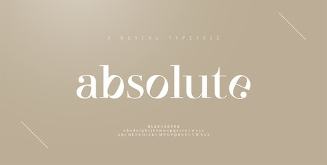 Fototapeta Elegant alphabet letters font and number. Classic Lettering Minimal Fashion Designs. Typography fonts regular uppercase and lowercase. vector illustration obraz