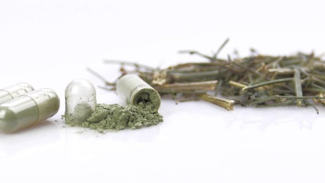 Fa thalai chon, kariyat herb antiviral activity (Andrographis Paniculata) Capsules on a white background.