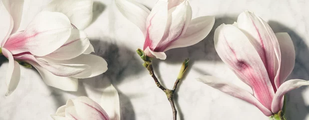 Tuinposter Mooie roze magnolia bloemen op witte marmeren tafel. Bovenaanzicht. plat liggen. Lente minimaal concept. © Natalia Klenova