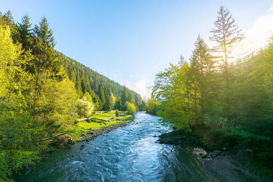mountain river on a misty sunrise. fantastic nature scenery with fog rolling above the trees fresh green foliage on the shore in the distance. beautiful countryside landscape in morning light