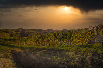 Obraz premium landscapes of the Piedmont langhe in the autumn after the harvest