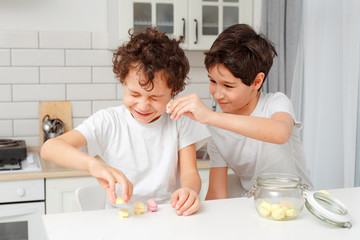 boys real brothers in a bright kitchen eating marshmellow from a glass jar