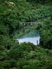 Fototapeta na wymiar long bridge among the green forest and mountain