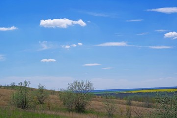 Obraz premium Spring day in the steppes with rare trees