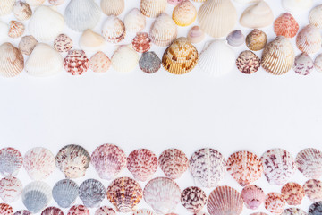 overhead shot of colorful shells, negative space