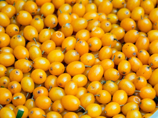 Sea-buckthorn berries in large quantities on a background