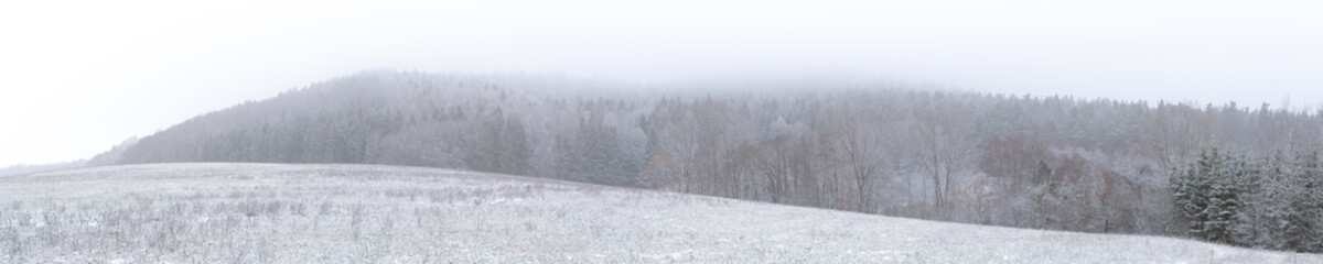 A mountain top in the winter fog