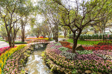 Obraz premium garden with flowers