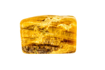 tiger eye cut out on white