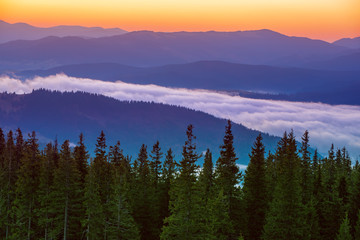 Morning mountain landscape