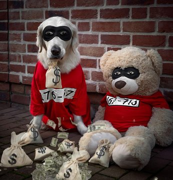 Bankraub