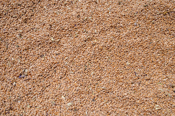 grain texture