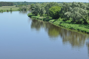 Bug River. Poland wschodnia.Dolina river with trees growing on the shore.